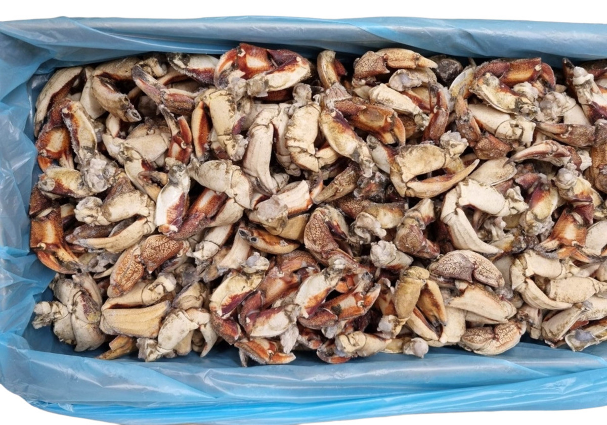 Hörpuskel, kræklingur og fleira