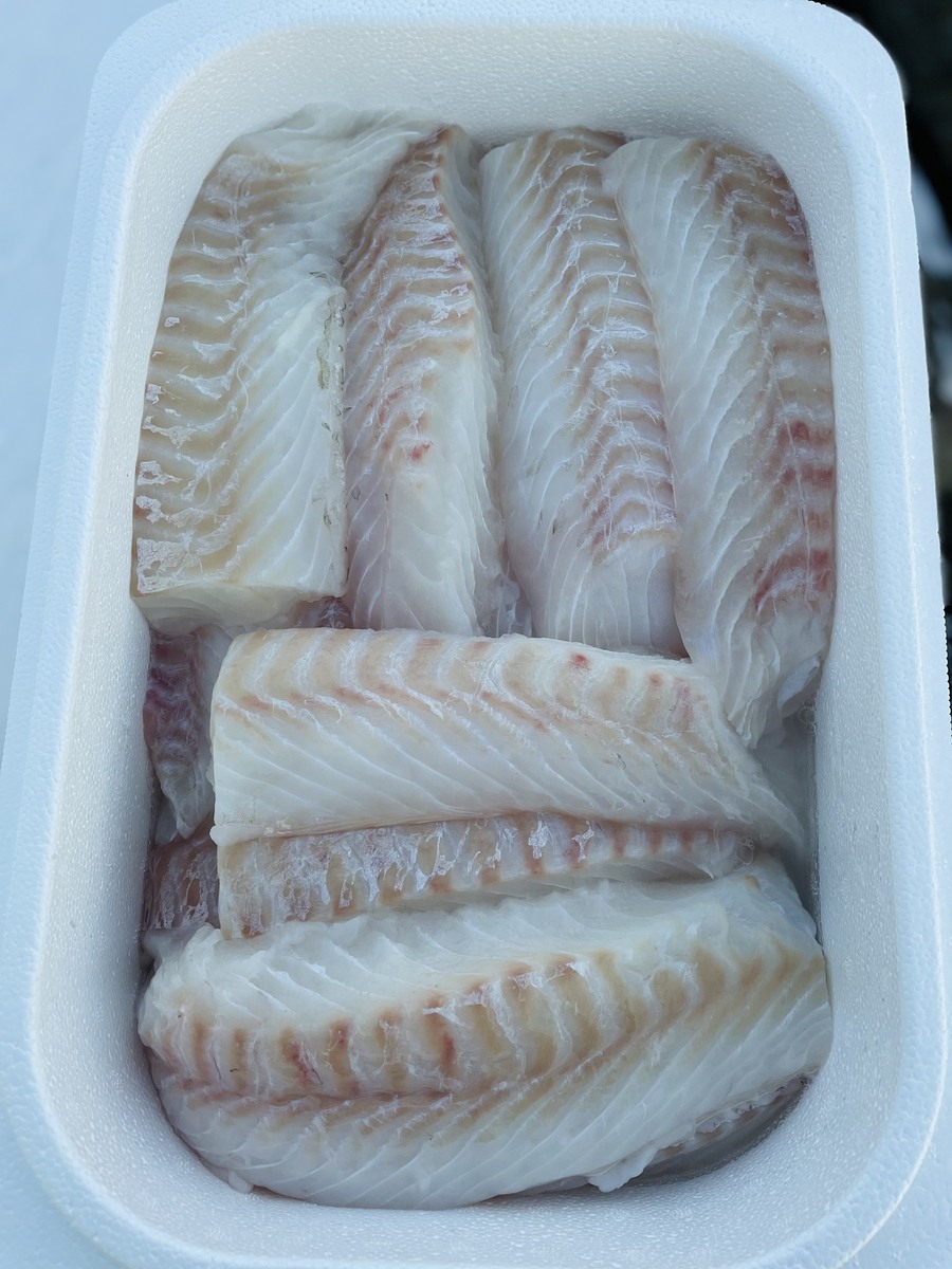 Þorskur, ýsa og fleira