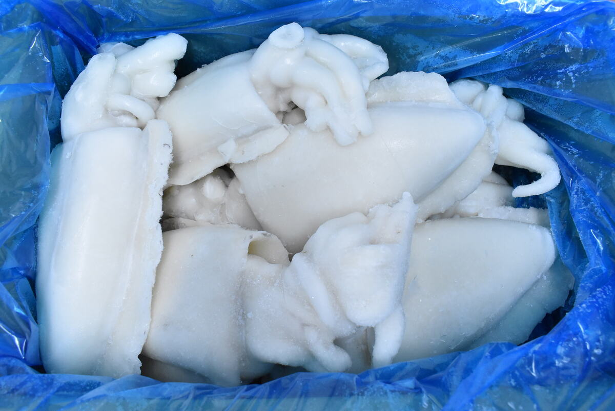 Hörpuskel, kræklingur og fleira