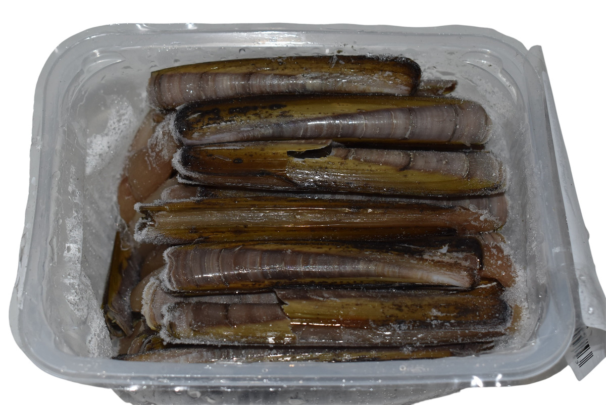 Hörpuskel, kræklingur og fleira