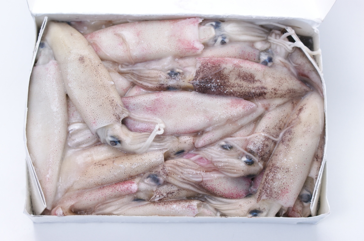 Hörpuskel, kræklingur og fleira