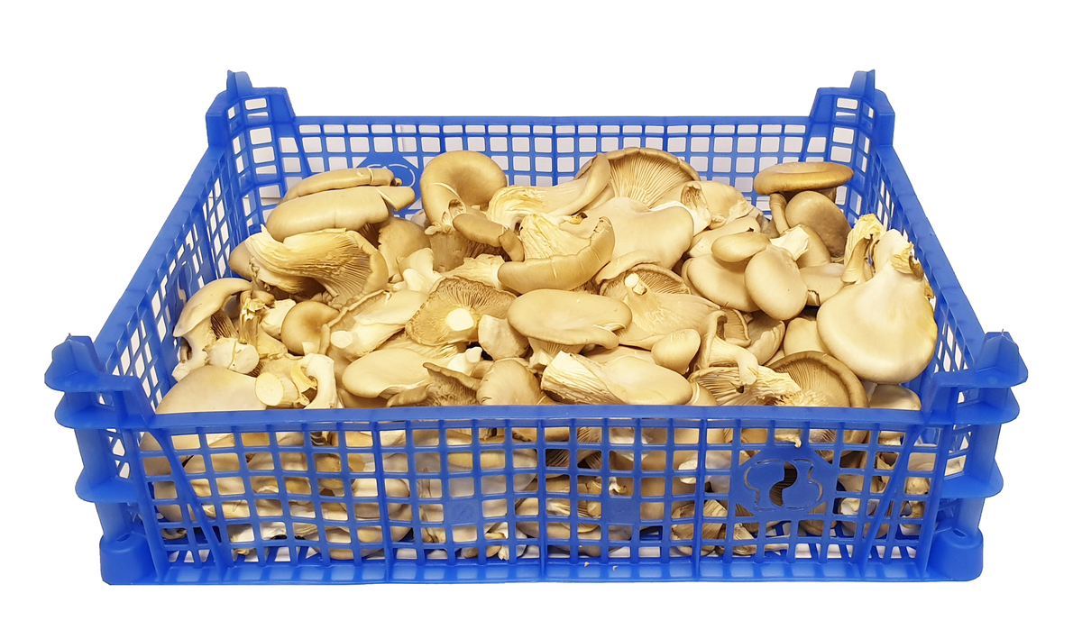 Ávextir og grænmeti