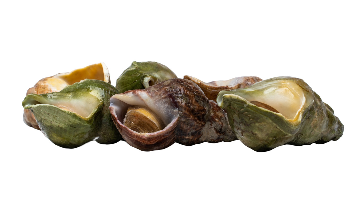 Hörpuskel, kræklingur og fleira