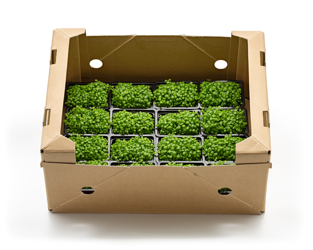 Ávextir og grænmeti