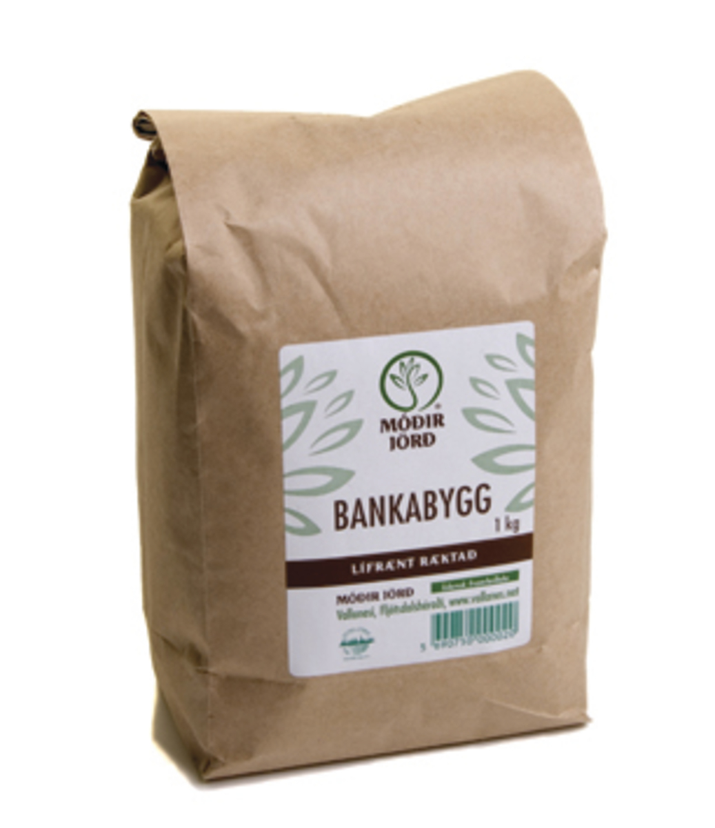 Hrísgrjón, núðlur og pasta